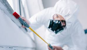 Best Real Estate Pest Inspections  in Bellville, TX